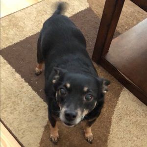 Meet your Posher, Renee